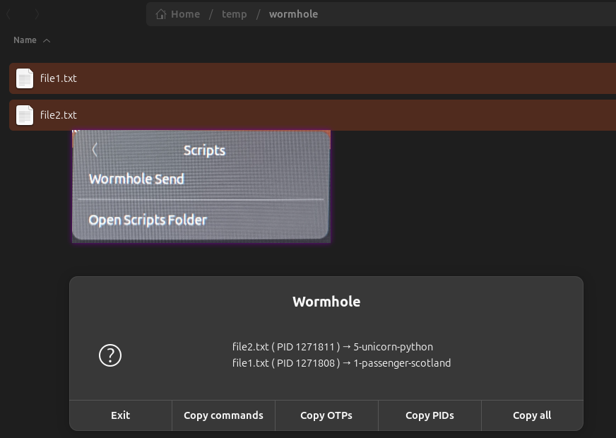 Wormhole Integration to Nautilus file explorer